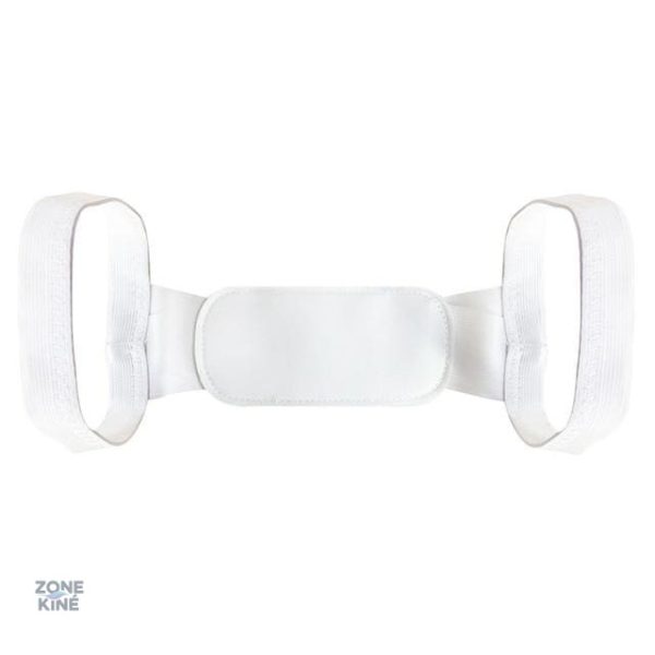 Support dorsal pour le confort et la santé du dos
